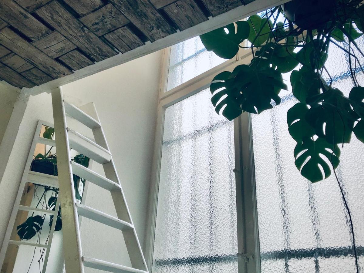 Boutique Hostel Lekkerurlaub 베를린 외부 사진